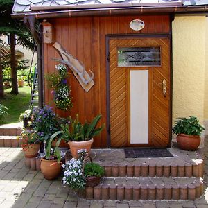 Ferienhaus Erzgebirge An der Trebe mit Kamin und Sauna Neuhausen  Room photo
