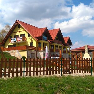 Pensjonat Zielone Wzgorze Boleslawow Stronie Śląskie Exterior photo