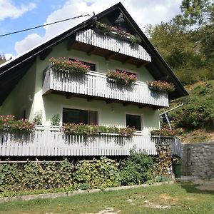 Apartment Zvan Bohinj Room photo