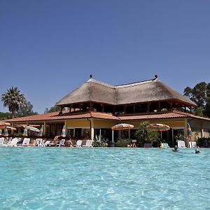 Hotel Camping Free Beach à Marina Di Bibbona Exterior photo