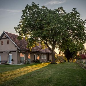 Villa Winzarei, Weingut Tement Berghausen Exterior photo