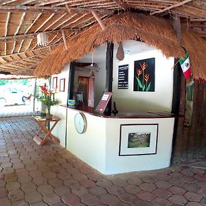 Hotel Cabañas Safari Palenque Exterior photo