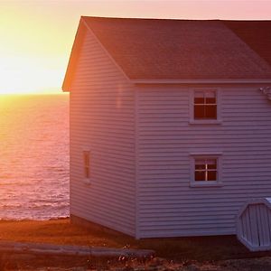 The Old Salt Box Co. - Grandma Lilly'S Villa Fogo Island Exterior photo