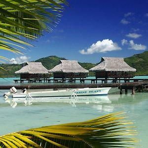 Vahine Island Resort And Spa Exterior photo