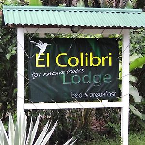 El Colibri Lodge Manzanillo (Limon) Exterior photo