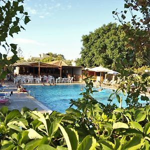 Camping Chania Kato Daratso Exterior photo