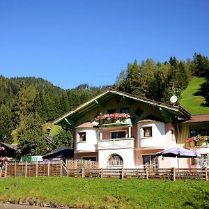 Appartements Baumanngut Wagrain Exterior photo