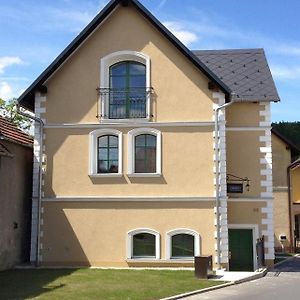 Old House Bed and Breakfast Hradec nad Moravici Exterior photo