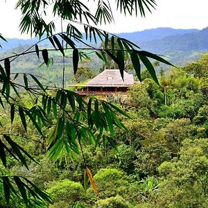 Terrabambu Lodge Mindo Exterior photo