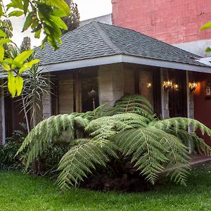 Mi Casa, Tu Casa Apartment Guatemala City Exterior photo