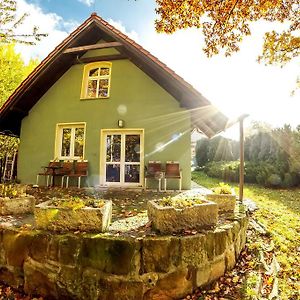 Dom Maciejowka Villa Polanica-Zdrój Exterior photo