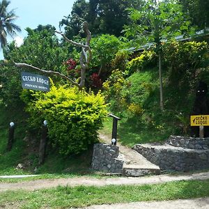 Gecko Lodge Fiji Savusavu Exterior photo