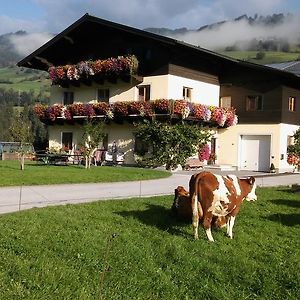 Villa Rieserhof/Fam. Meißnitzer Taxenbach Exterior photo