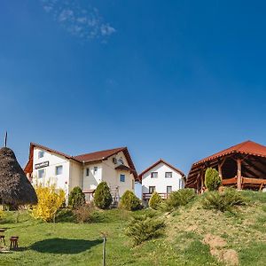 Pensiunea Faur Villa Sebeş Exterior photo