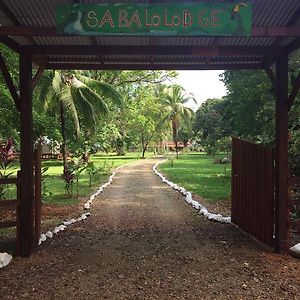 Sabalo Lodge Tours And Cabins Sierpe Exterior photo