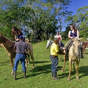 Banana Bank Lodge & Jungle Horseback Adventures Belmopan Exterior photo