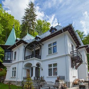 Hotel IL Piccolo Castello Buşteni Exterior photo