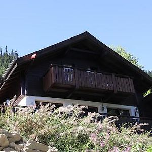 Villa Vrijstaand Chalet Met Prachtig Uitzicht à Blatten bei Naters Exterior photo