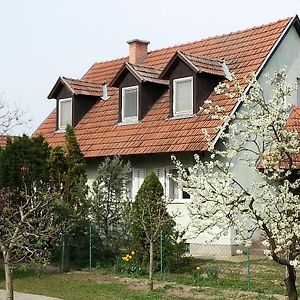 Gyula-Tanya Vendeghaz Villa Csongrád Exterior photo