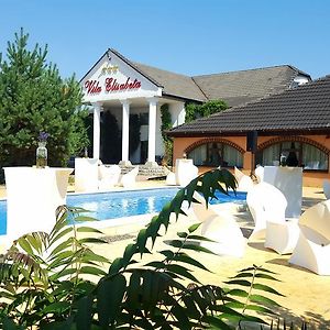 Hotel Elisabeta Alba Iulia Exterior photo