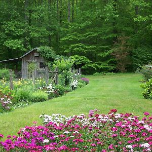 Garden Of Eden Cabins Cosby Exterior photo