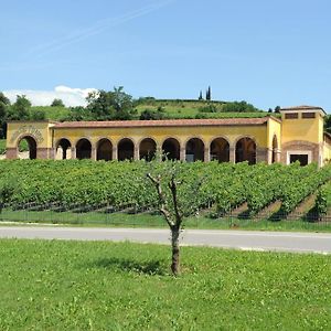 Monte Tondo Winery Soave (Verona) Exterior photo