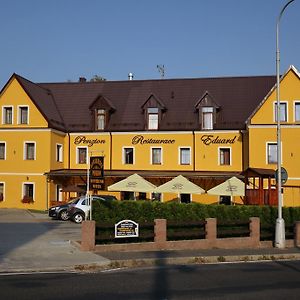 Hotel Penzion Eduard Františkovy Lázně Exterior photo