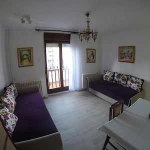 Violet Star Apartment Novi Sad Exterior photo