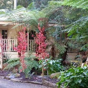 Myers Creek Cascades cabañas Bed and Breakfast Healesville Exterior photo