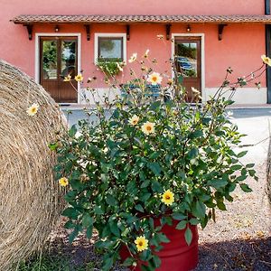 Agriturismo La Meridiana Villanova  Exterior photo