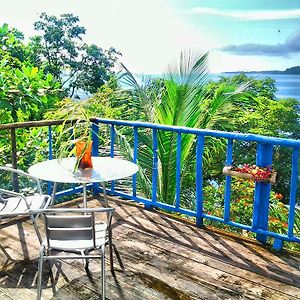 Mosana Reef Garden B&B Bocas Town Exterior photo