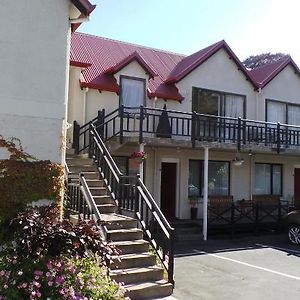 Owens Motel Dunedin Room photo