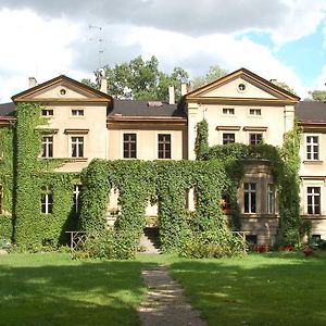 Villa Palac Baborowko Szamotuły Exterior photo