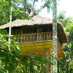 Kalidasa Tree House And Villa, Wayanad Chegat Exterior photo