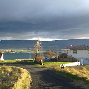 Glaesibaer 2 Guesthouse And Horsefarm Akureyri Exterior photo