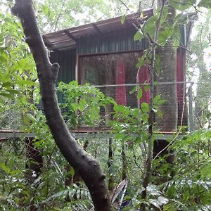 The Green Tree Lodge Monteverde Exterior photo