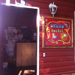 Gecko Hostel Pucon Exterior photo