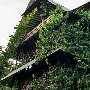 Ayahuasca Hostel Puerto Narino Exterior photo