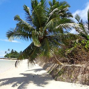 Hcs Bungalows Turtle Bay Rustic Bungalow Au Cap Exterior photo