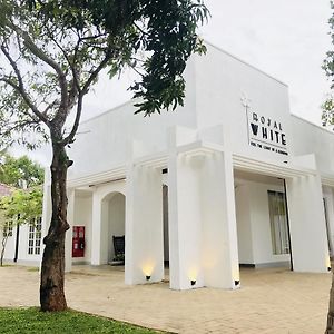 Hotel Royal White Tourist Rest Anuradhapura Exterior photo