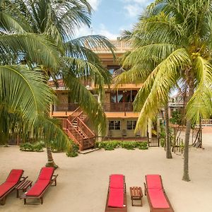 Buttonwood Belize Hotel Hopkins Exterior photo