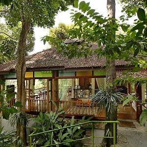 Ambong Rainforest Retreat Pantai Cenang (Langkawi) Exterior photo