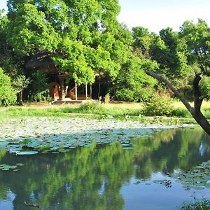 Back Of Beyond - Wild Haven Villa Sigiriya Exterior photo