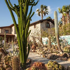 Maison d'hôtes Garden Cactus à Villaggio Mosè Exterior photo