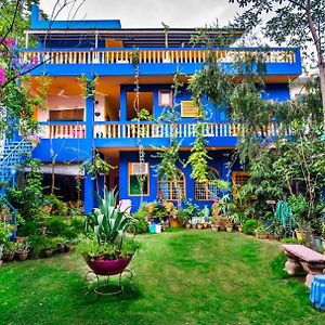 The Coral Tree Boutique Homestay Agra  Exterior photo