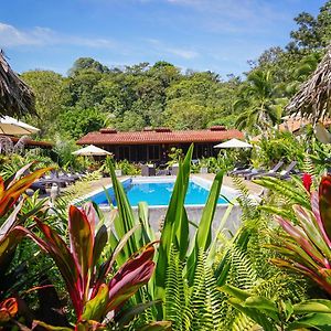 Hotel Island Plantation (Adults Only) Bocas del Toro Exterior photo