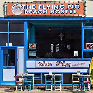 The Flying Pig Beach Hostel Noordwijk Exterior photo