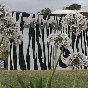 Zebras Guesthouse Geraldton Exterior photo