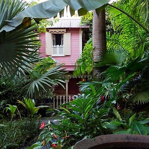 Pink Plantation House Castries Exterior photo