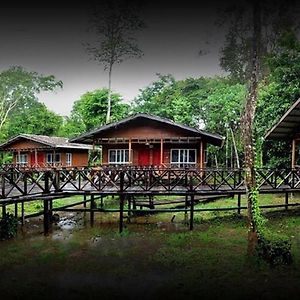 Borneo Nature Lodge Sukau Exterior photo